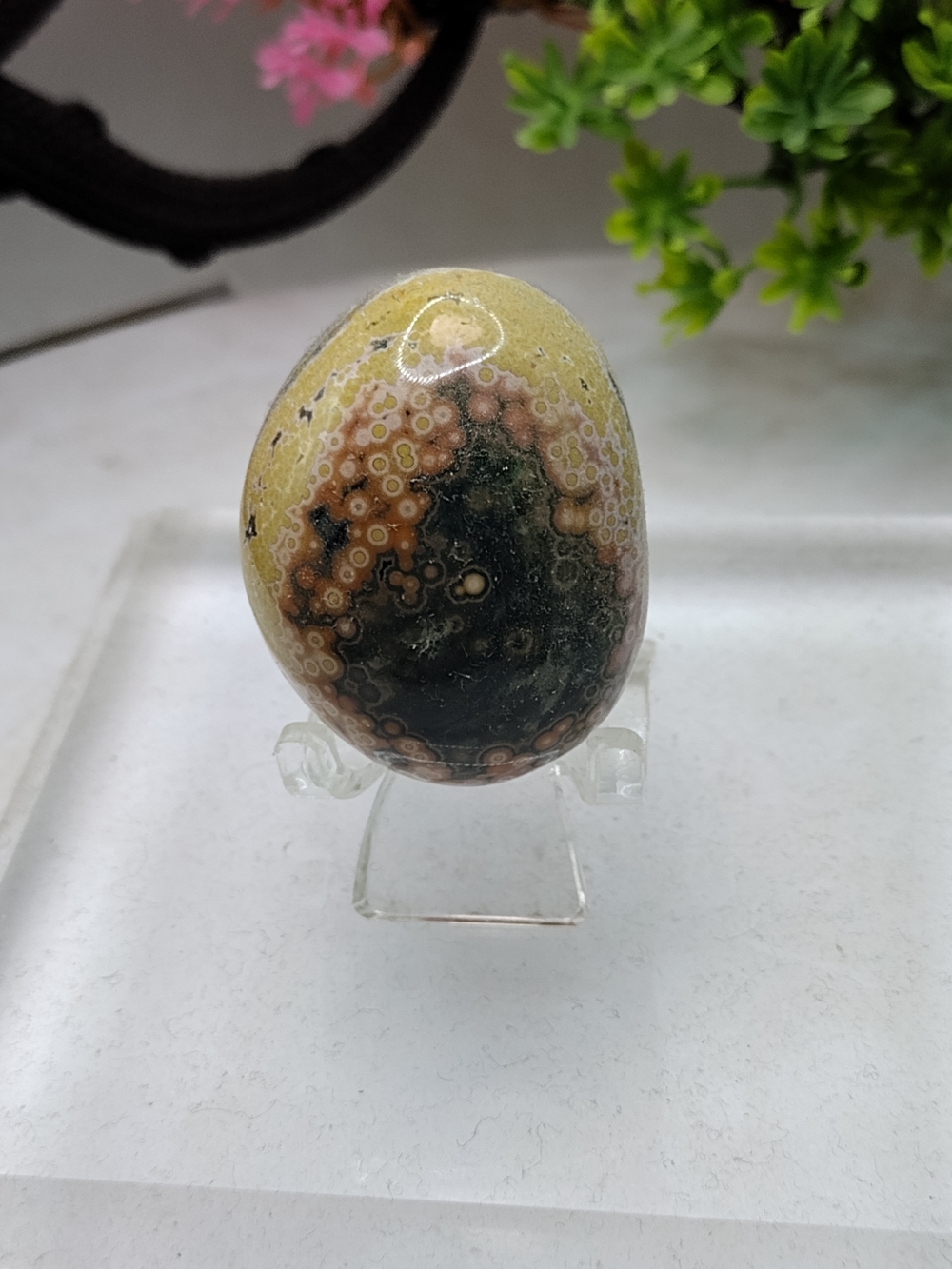Polished Ocean Jasper Decorative Egg - Green and Tan